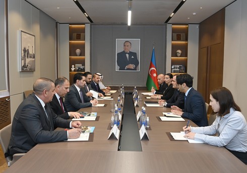 Глава МИД Азербайджана встретился с зампредом парламента Ирака