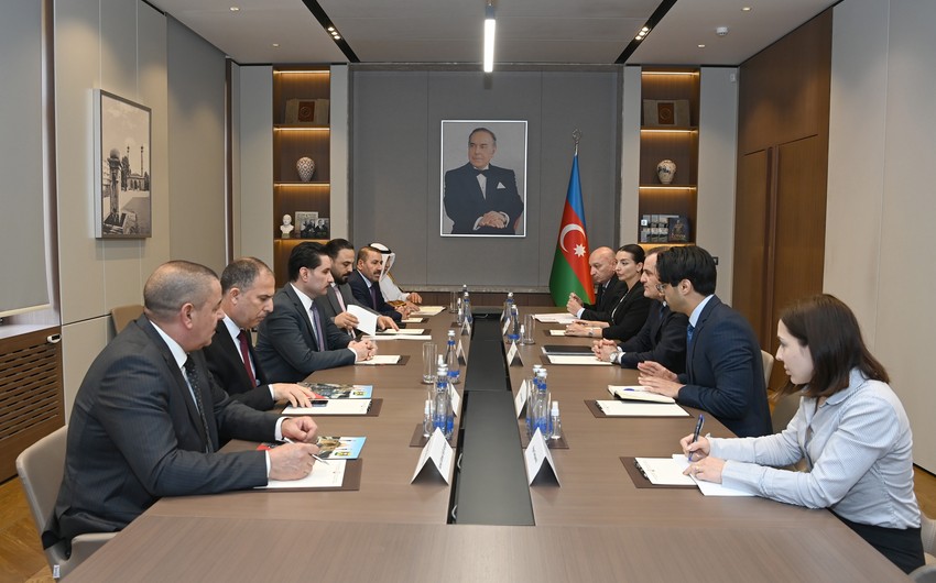 Глава МИД Азербайджана встретился с зампредом парламента Ирака