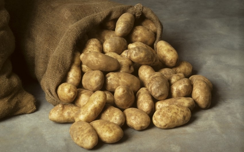 Азербайджан импортировал из Украины картофеля на 18 тыс. долл.