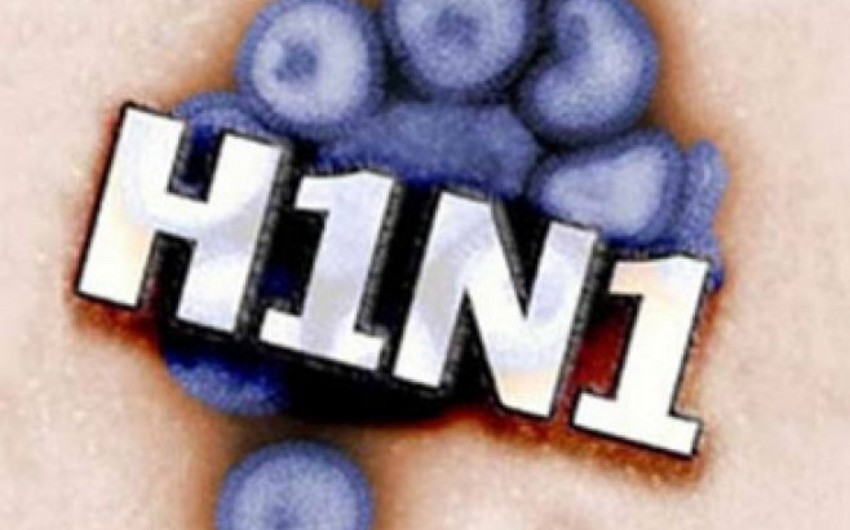 ​3 cases of swine-flu infection registered in Nagorno-Karabakh