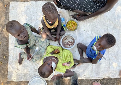 ЕС выделил Африке 1,8 млрд евро для борьбы с голодом
