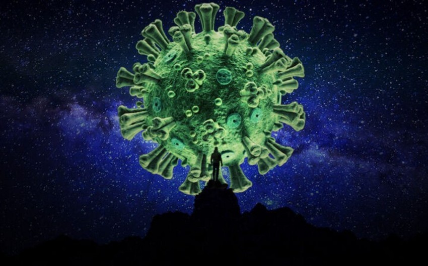 TƏBİB sədri: Koronavirusu yayanlar daha çox xəstəlik əlaməti olmayan şəxslərdir