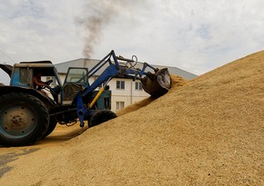 Azerbaijan imports wheat from Penza region