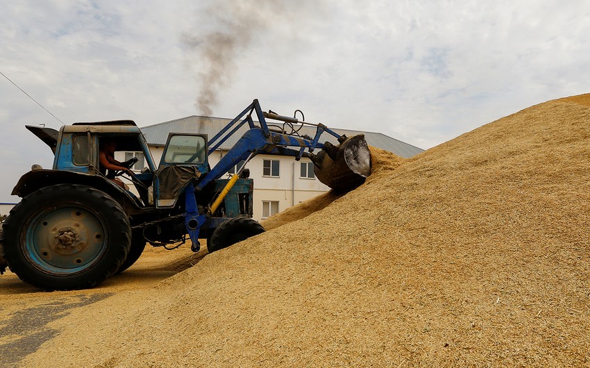 Azerbaijan imports wheat from Penza region