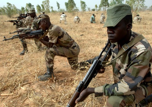 При нападении боевиков на деревню в Нигере убиты семь мирных жителей