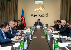 “AzerGold”da hasilatın pay bölgüsü haqqında Saziş üzrə yeni Rəhbər komitənin ilk iclası keçirilib