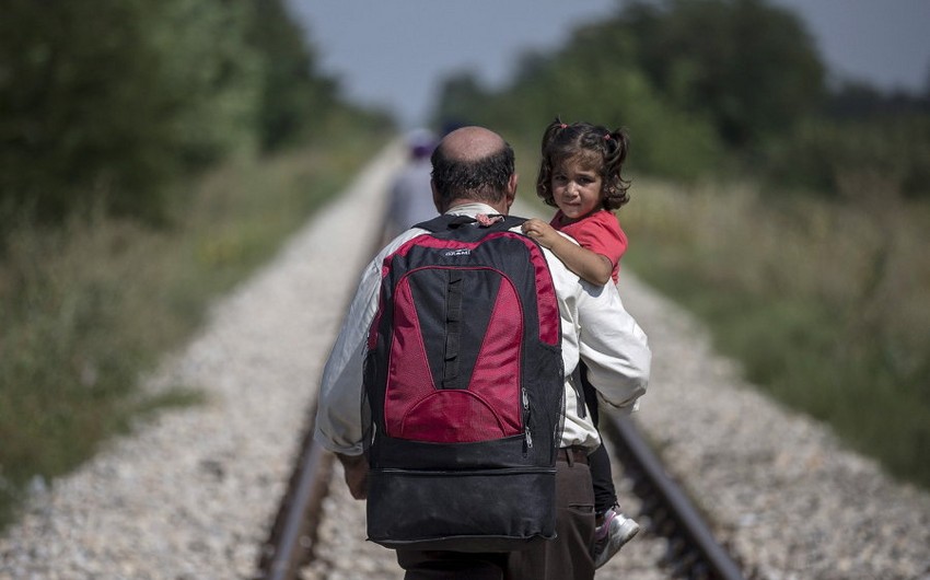 Сенатор: Франция должна принять 200 тыс. беженцев из Сирии и Ирака