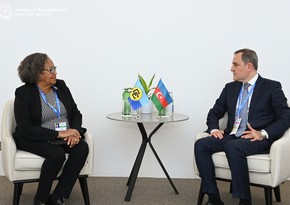 Глава МИД Азербайджана в рамках COP29 провел переговоры с генсеком CARICOM 