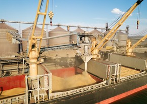 Украина начнет экспорт зерна через черноморские порты
