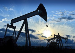 Oil prices changed specific weight of economy sectors in GDP