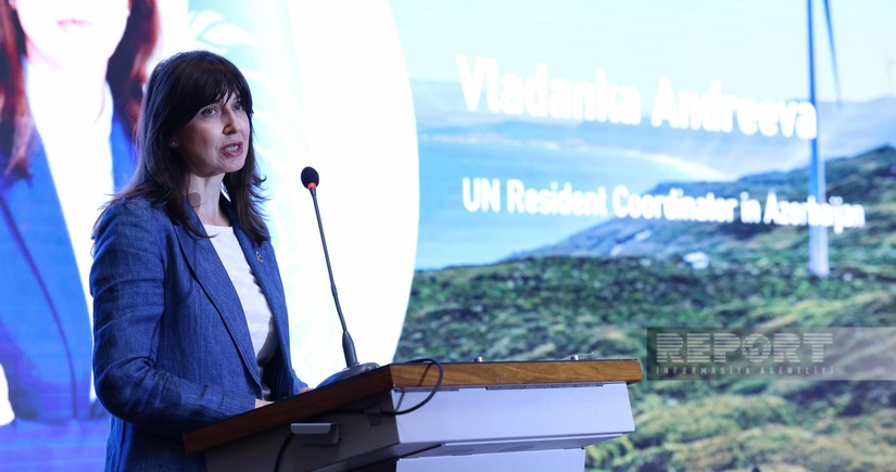 Андреева: ООН привержен поддержке мер по борьбе с изменением климата и после проведения COP29
