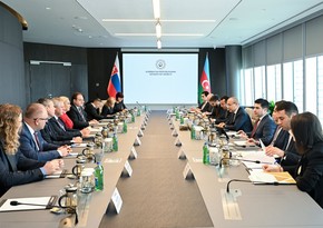 Baku to host first session of Azerbaijan-Slovakia Economic Co-op Working Group