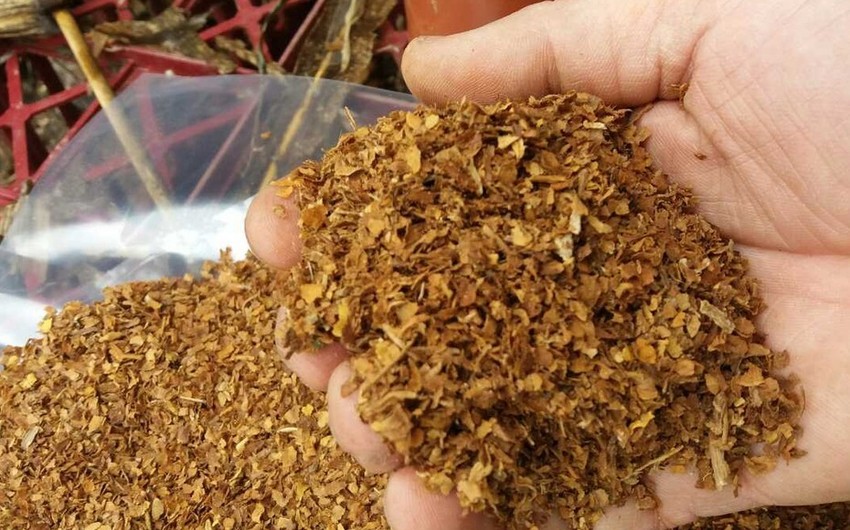 Azərbaycan tütün idxalına çəkdiyi xərci 12% azaldıb