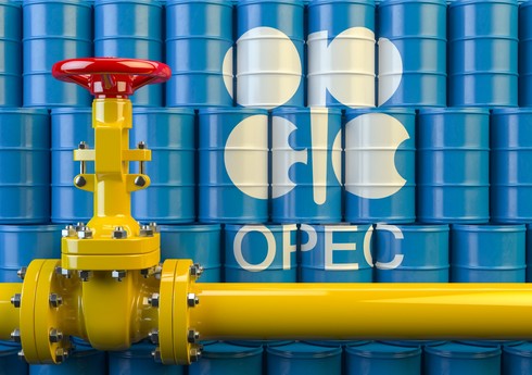 В ОПЕК спрогнозировали «хороший» год для рынка нефти