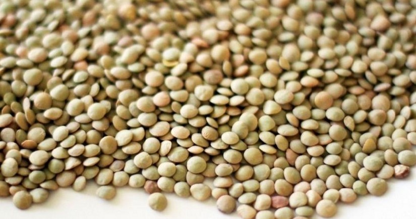 Azerbaijan sharply increases purchase of lentils from Kazakhstan