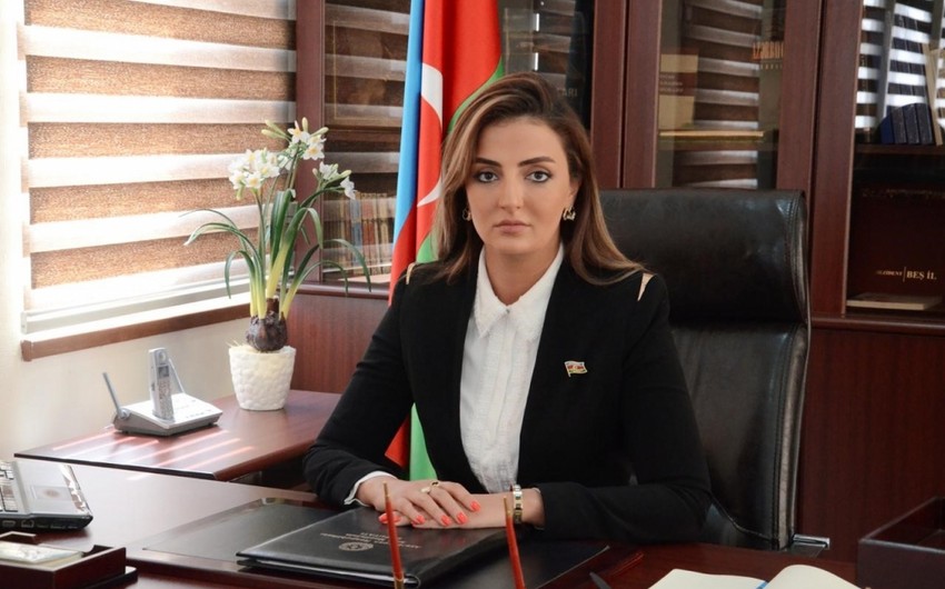 Könül Nurullayeva: “Ermənistanın hərbi əməliyyatları davam etdirməyə resursu çatmır”