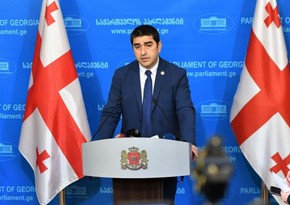 Спикер парламента Грузии: Нет никакого прямого финансирования из Франции