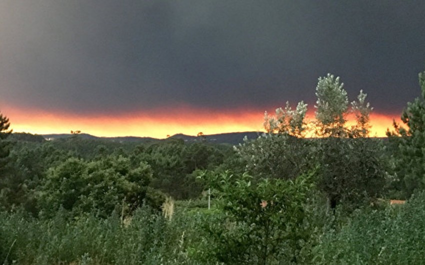 Число жертв лесных пожаров в Португалии возросло до 62 - ОБНОВЛЕНО - 2