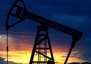 В США призвали Байдена продолжить использование стратегических резервов нефти