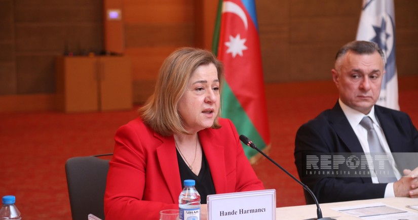 WHO official: Access to mental health services should be ensured in Azerbaijan