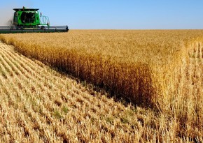 Russia to create hub in Syria for grain export to Middle East