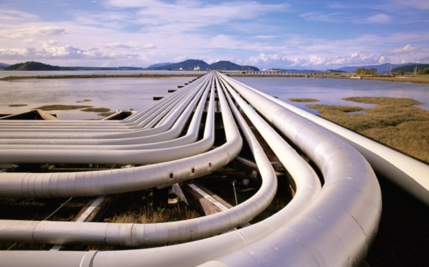 Балканские страны заинтересованы в строительстве газопровода Турция-Австрия