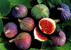 Azerbaijan resumes fig exports from Luxembourg 