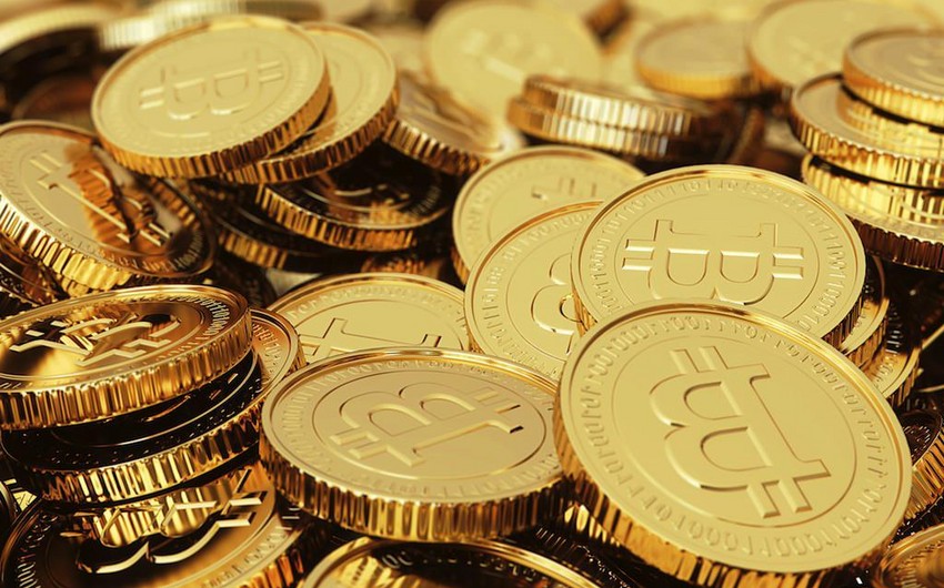 Bitcoin Cashın qiyməti 1 000 dollara yaxınlaşıb