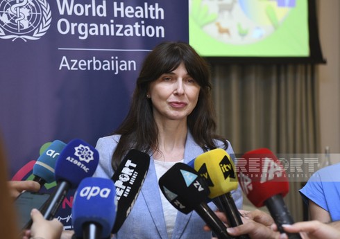 ООН предложила создать рабочую группу по внедрению концепции "Единое здоровье" в Азербайджане