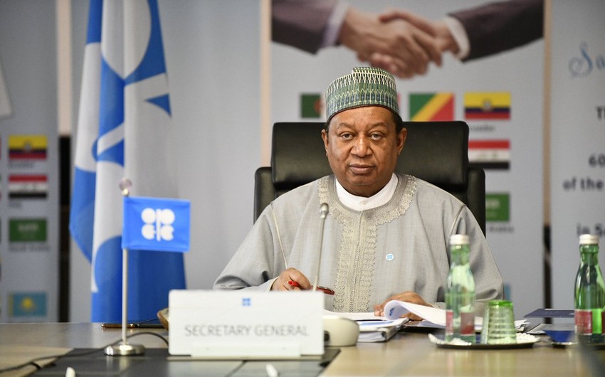 OPEC’s Barkindo: New COVID variants affected situation in oil market