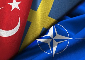 Media: Türkiye to approve Sweden's NATO membership by end of year
