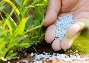 Azerbaijan more than doubles nitrogen fertilizer exports