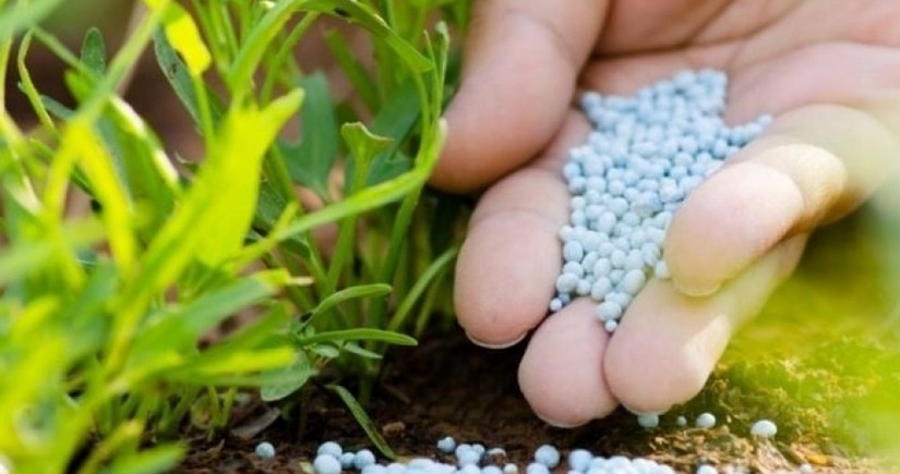 Azerbaijan more than doubles nitrogen fertilizer exports