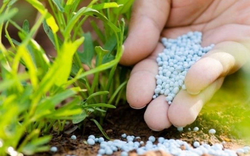 Azerbaijan observes over 2-fold surge in nitrogen fertilizer exports