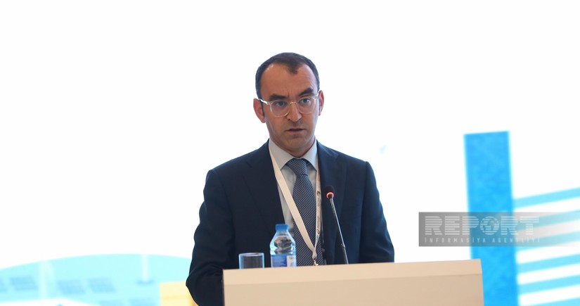 Qarabağda və Şərqi Zəngəzurda iqtisadiyyatın prioritet sahələri açıqlanıb