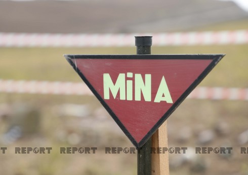 ANAMA: На освобожденных территориях за неделю обезврежены 33 мины
