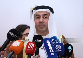 Azerbaijan poised for resounding success with COP29, UAE official says