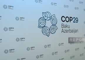 Ekspert: COP29 iqlim məqsədlərinə çatmaqda təməl daşı ola bilər