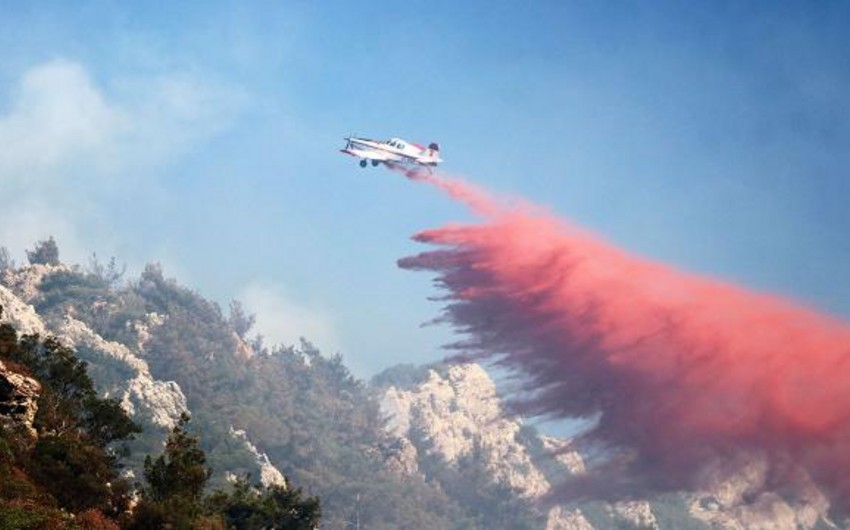 19 injured in wildfire in Turkiye