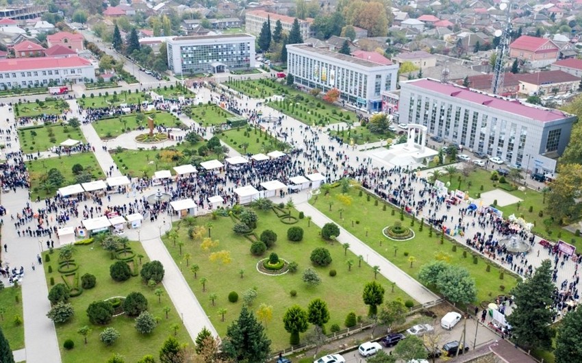 Lənkəranda III Çay, Çəltik, Sitrus Festivalı keçiriləcək - FOTO - VİDEO