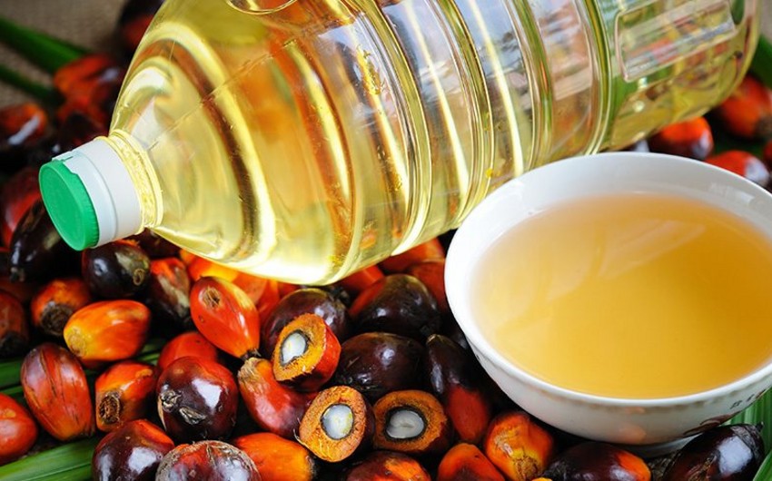 Azerbaijan starts buying palm oil from Latin America