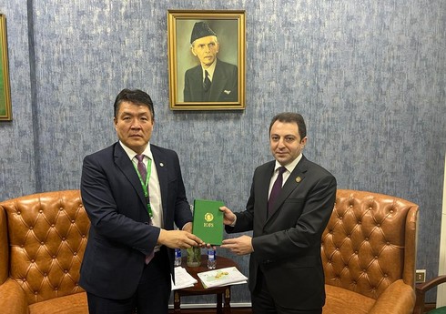 Глава ИОПБ высоко оценил вклад Азербайджана в проекты ОЭС
