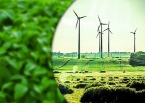 Oman's media outlet hails Azerbaijan's rapid strides towards green energy transition