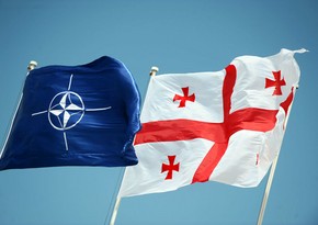 Названа причина, по которой генсек НАТО не смог встретиться с премьером Грузии 
