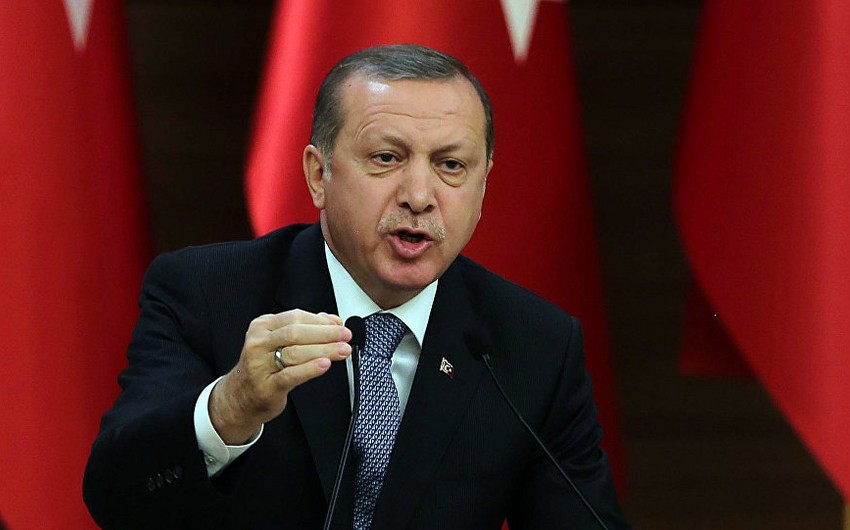 Эрдоган: Мы хотим, чтобы спектакль в Сирии и Ираке закончился