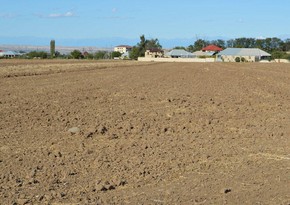 8 217 гектаров незаконно проданных муниципалитетами земель возвращены