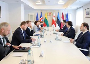 Главы МИД прибалтийских стран присоединились к акциям в Тбилиси