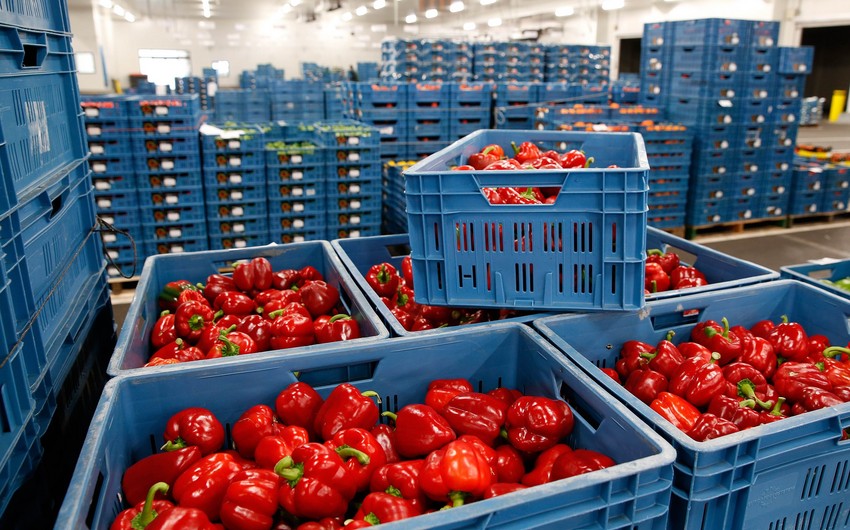 Russia Extends Food Embargo to Five European Countries