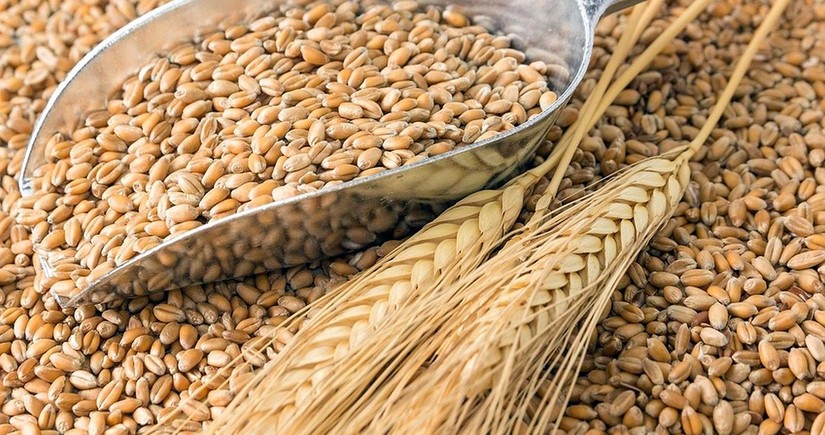 Азербайджан сократил закупку пшеницы с основного рынка поставок 