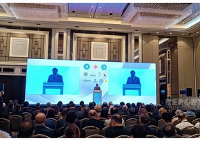  Organization of Turkic States and Turkic World Business Forum kicks off in Istanbul